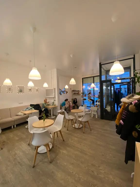 Неспящая сова