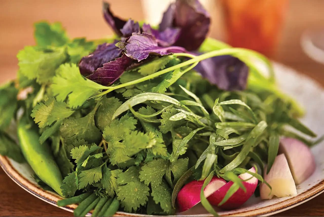 Гамарджоба