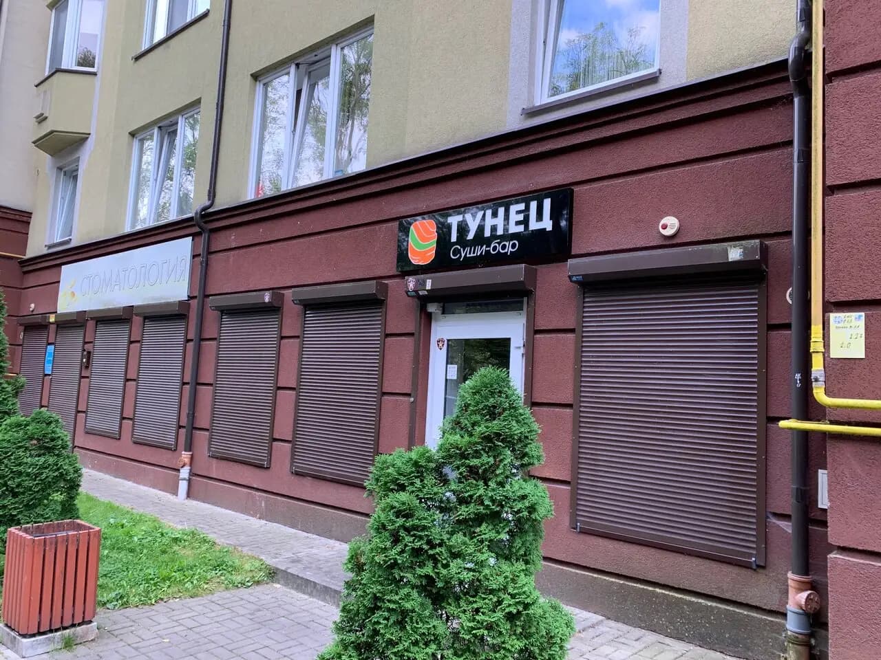 Тунец