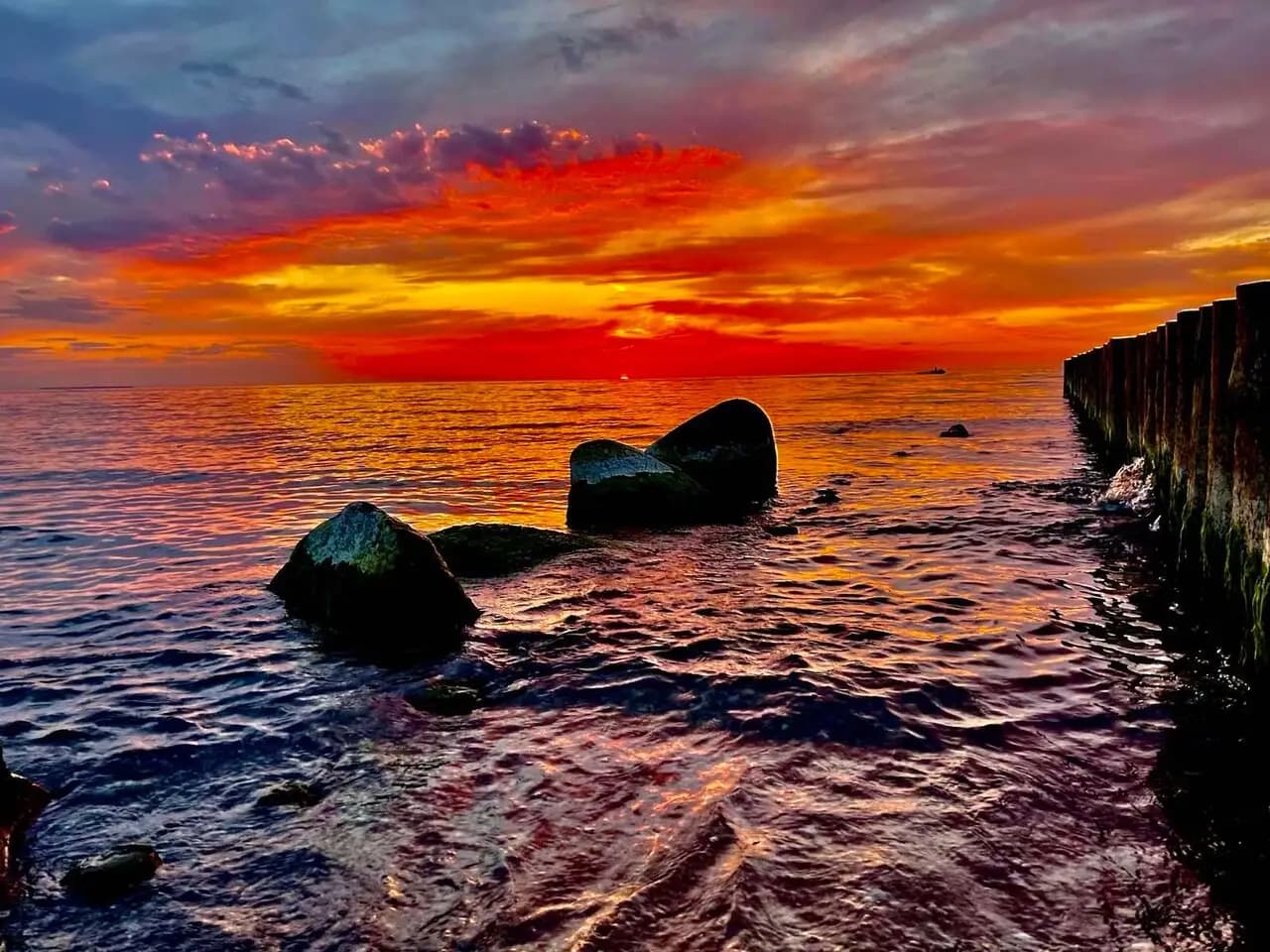 Балтийская корона