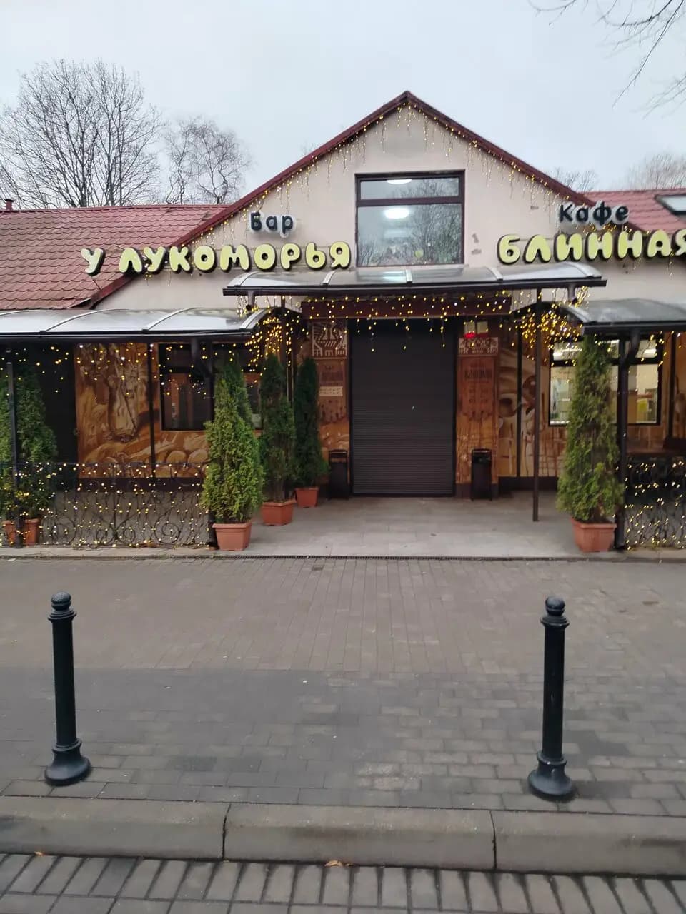 У лукоморья