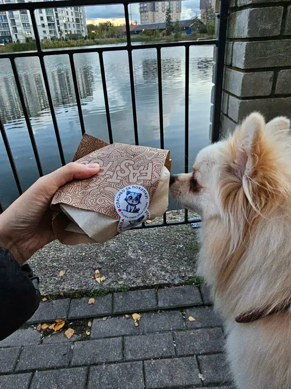 Кранц Пицца