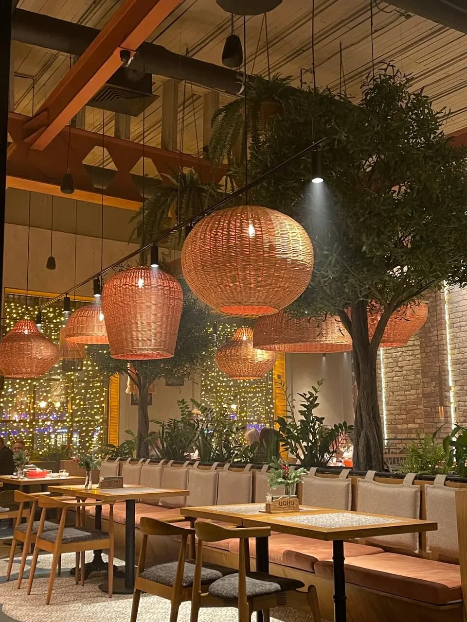 Цони-Мацони