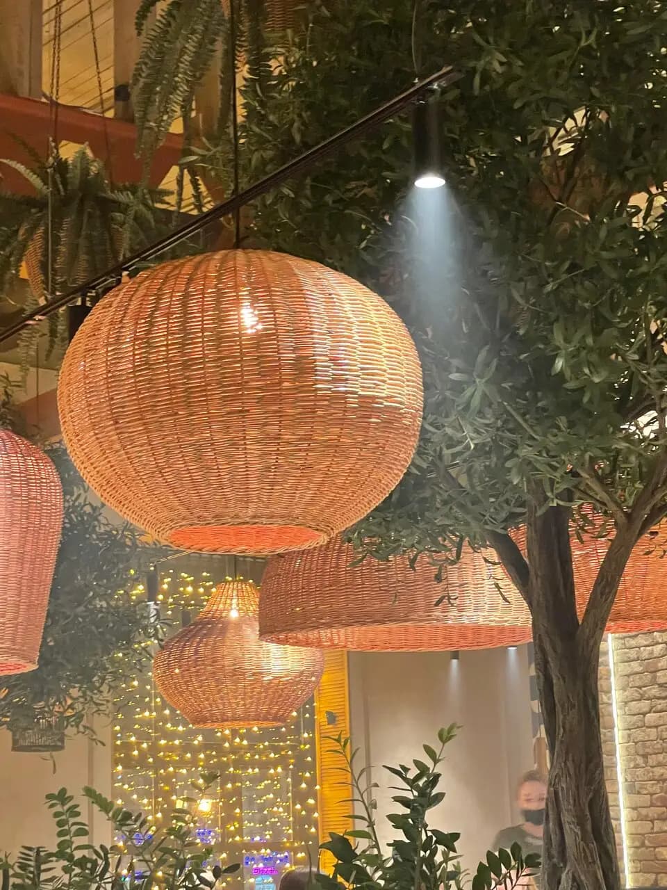 Цони-Мацони