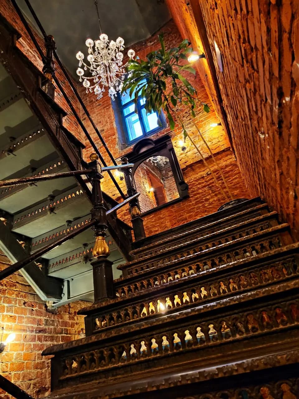 Библиотека