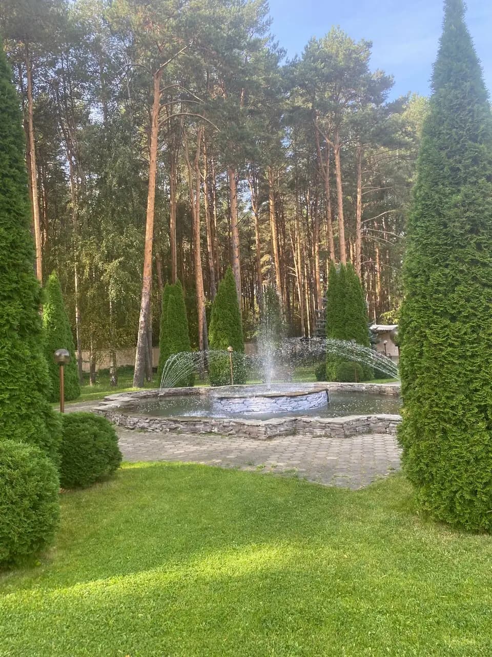 Сосновый бор