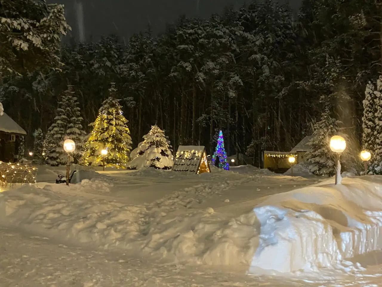 Сосновый бор