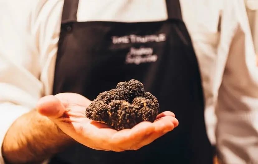 The Truffle