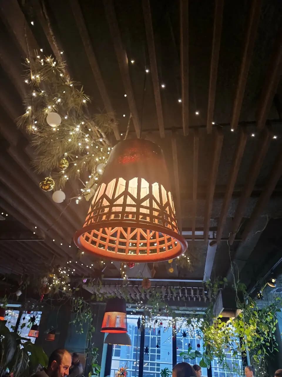 Луна и Черепаха