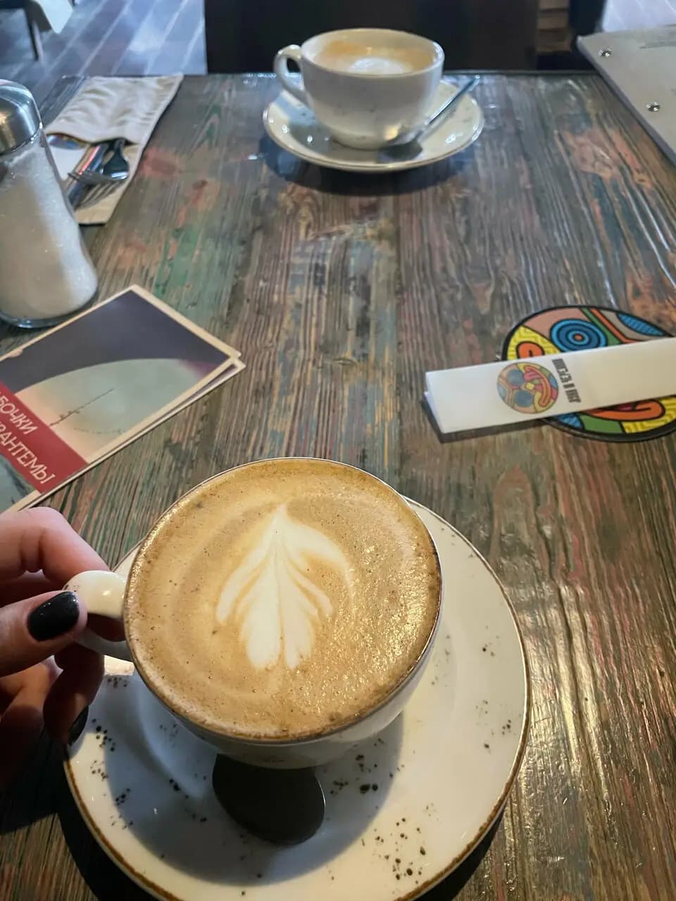 Луна и Черепаха