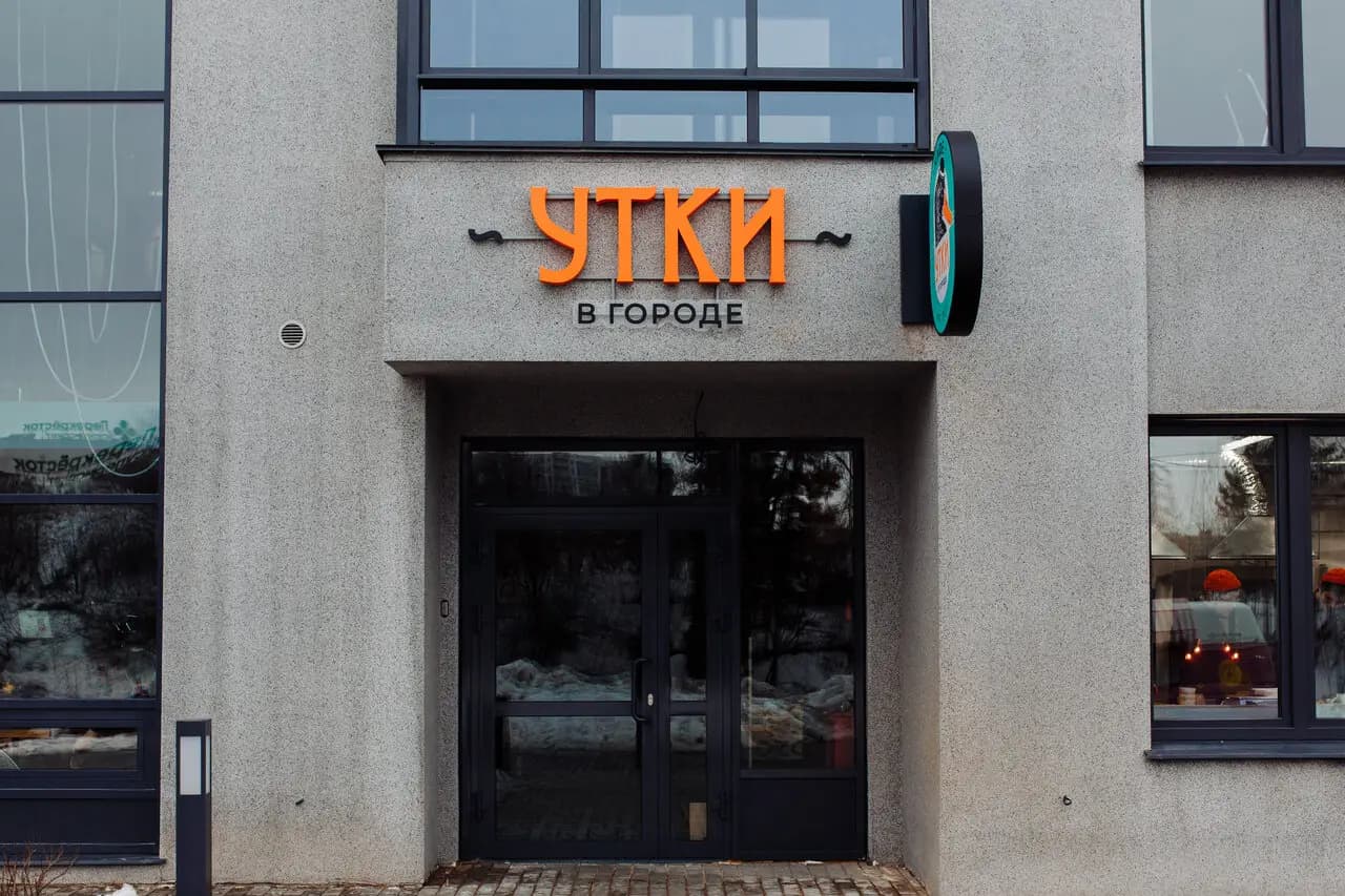 Утки в городе