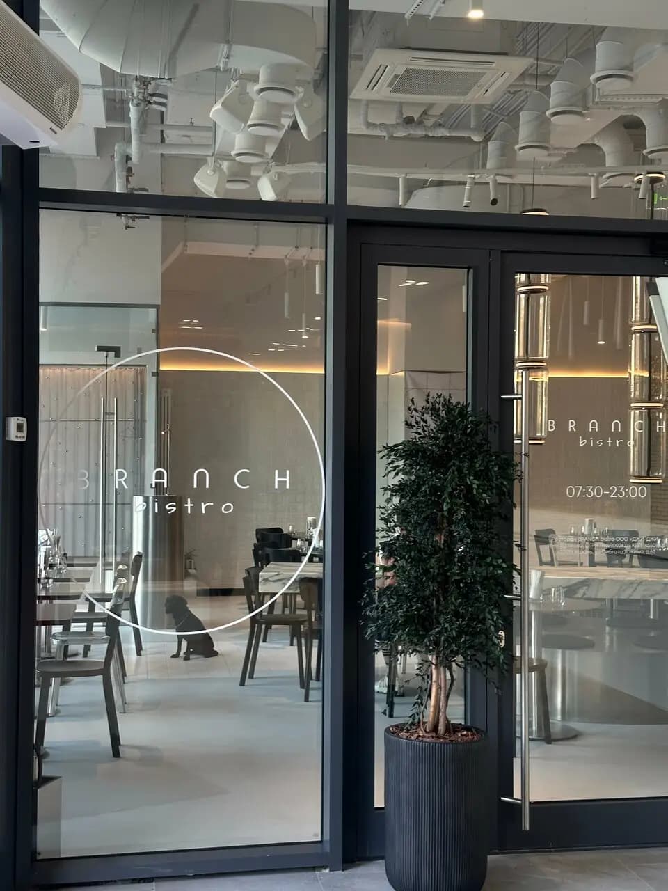 Бранч Бистро
