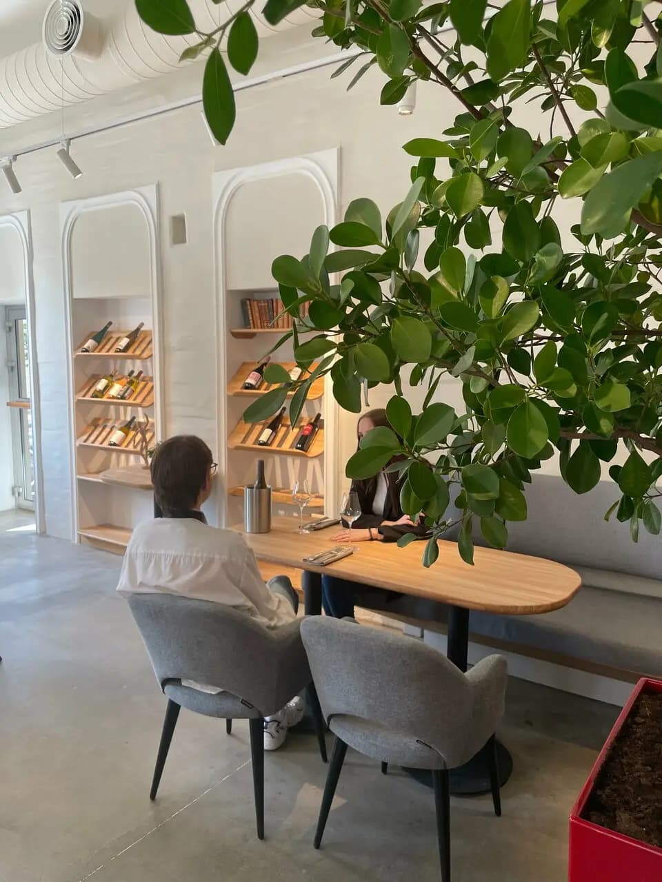 Винные марионетки