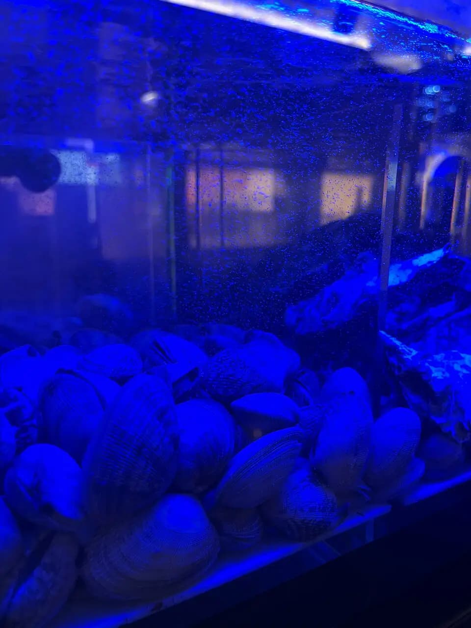 Ромэйн Fish&Meat