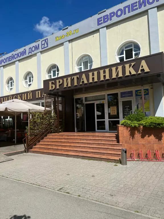 Британника