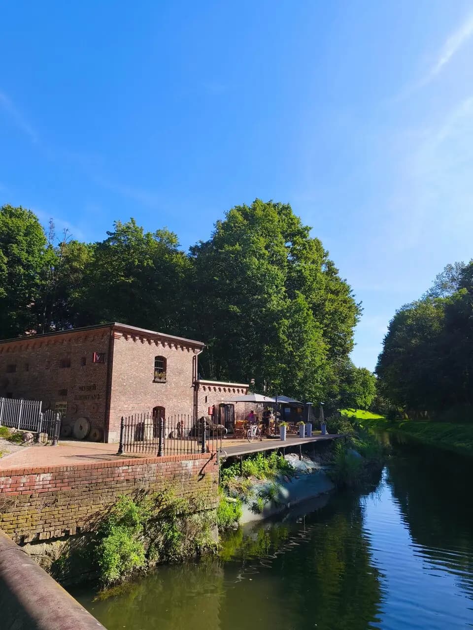 История в тарелке