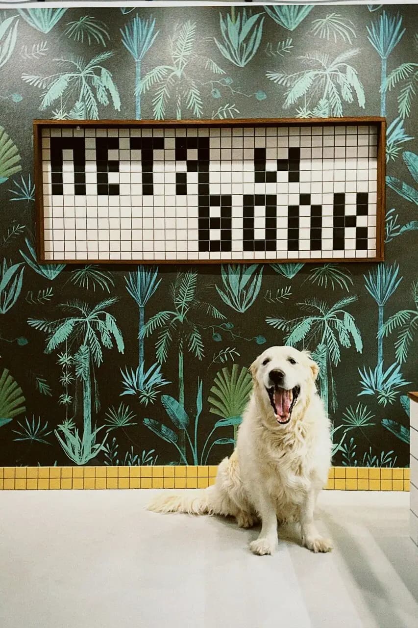 Петя и волк