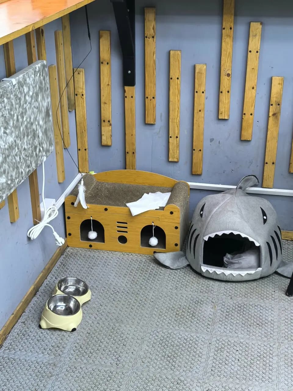 Калуга жарит