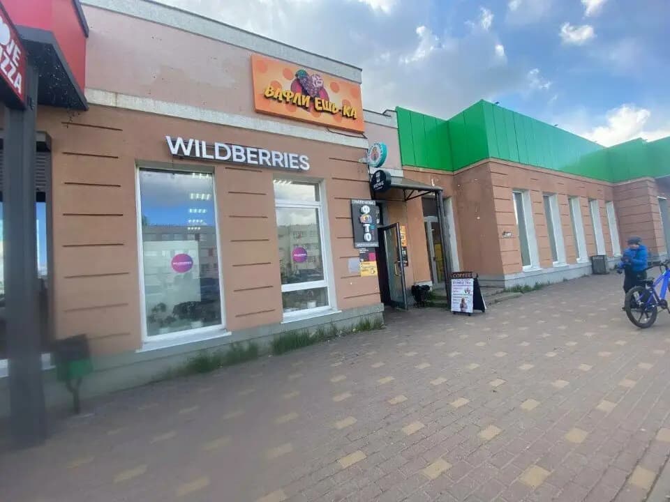 Элина Кофеёк