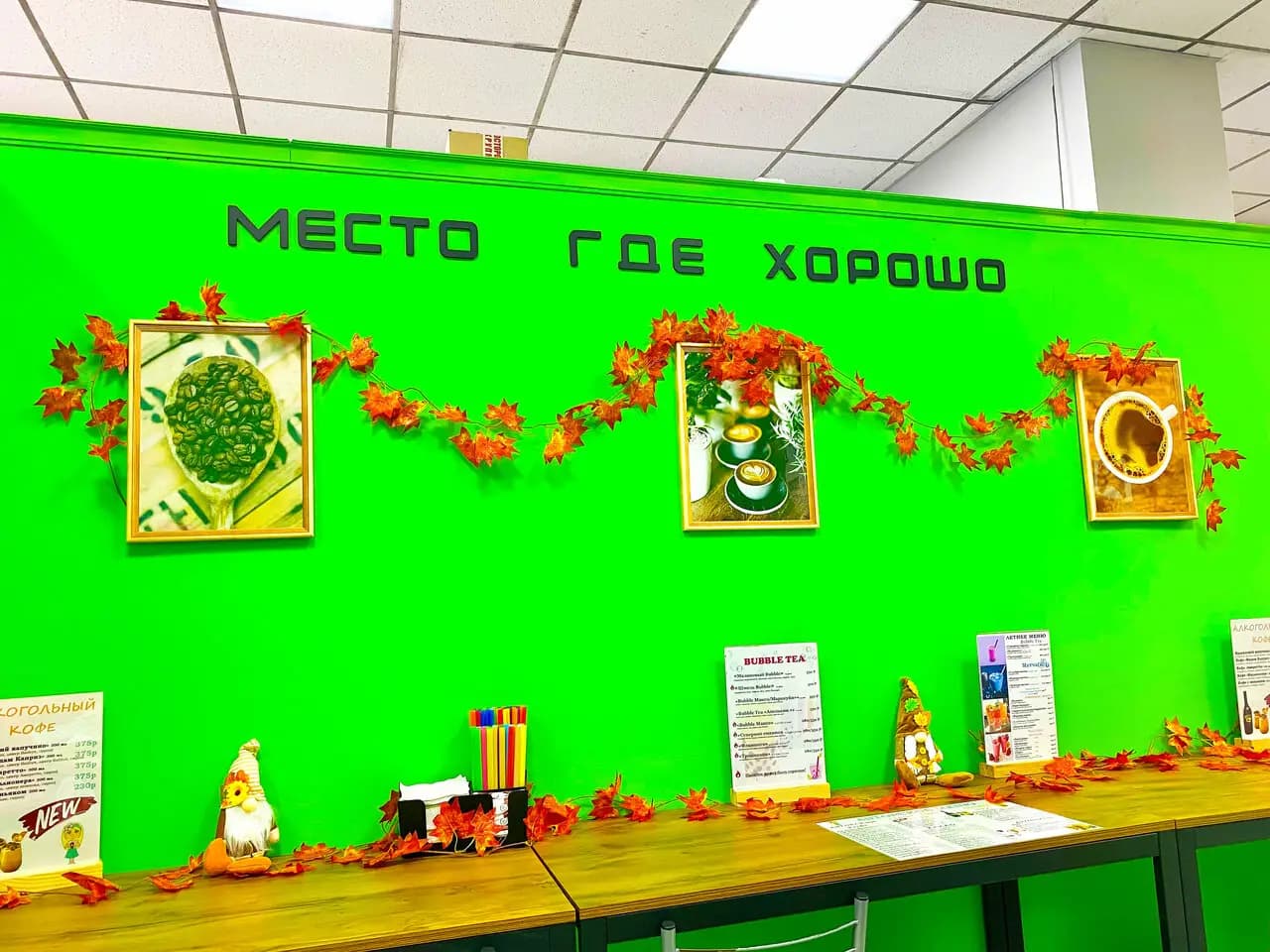 Элина Кофеёк