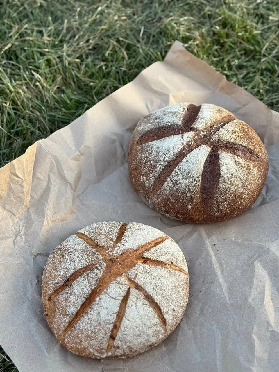 Хлеб и Скалка