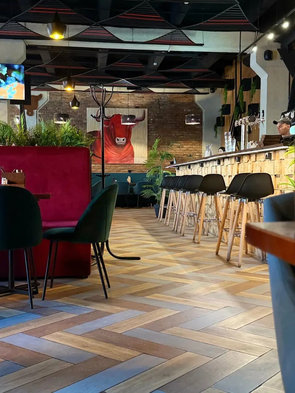 Жадина говядина