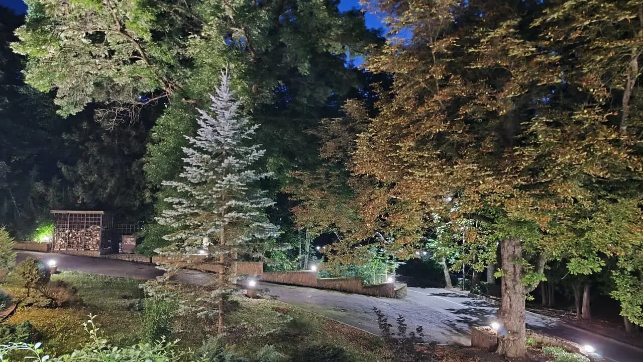 Шахматный домик