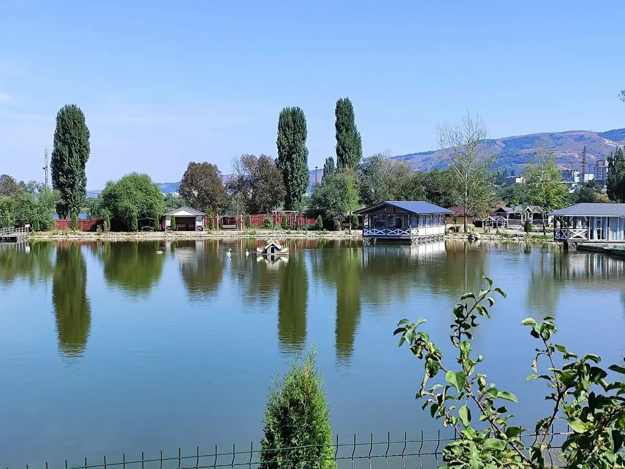 Кафе при форелевом хозяйстве