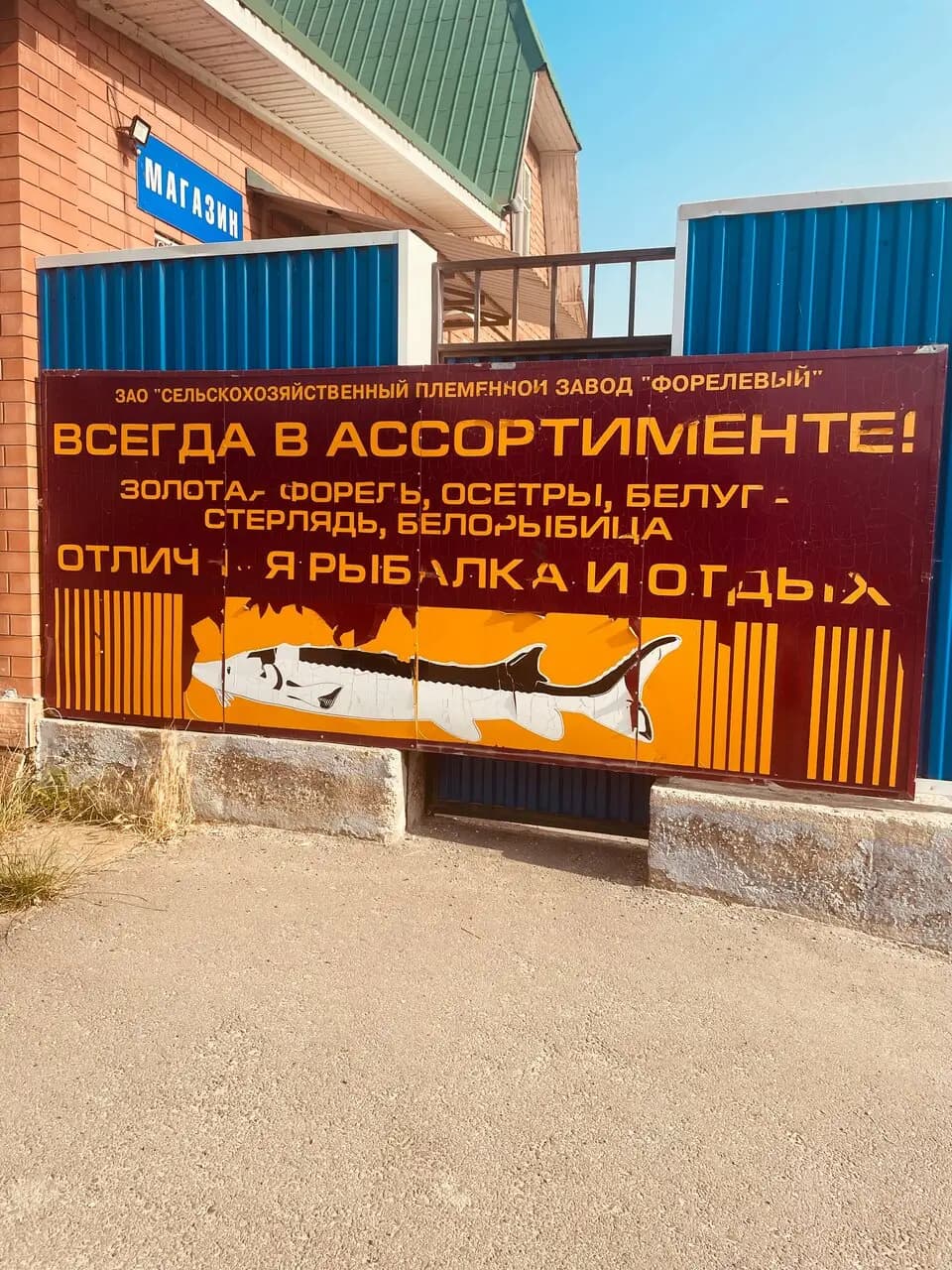 Кафе при форелевом хозяйстве