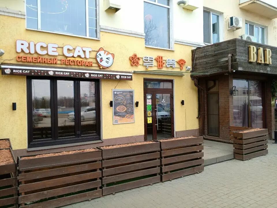 Рисовый Кот