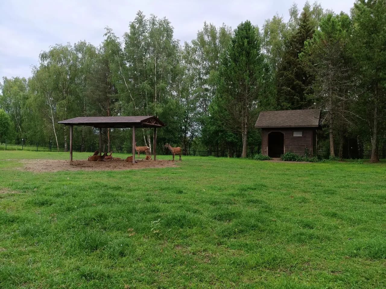 Аристократ