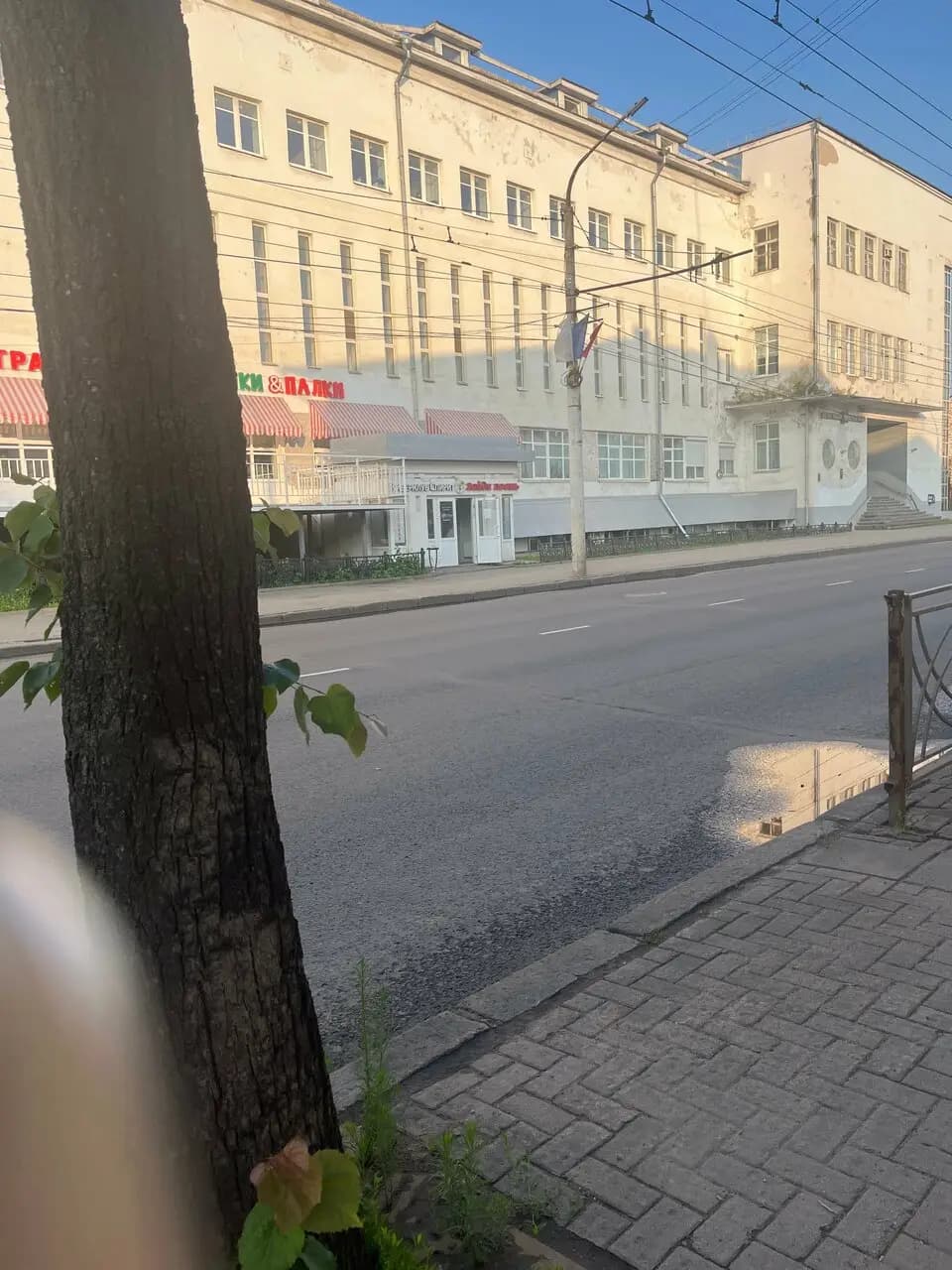 Зайди поешь