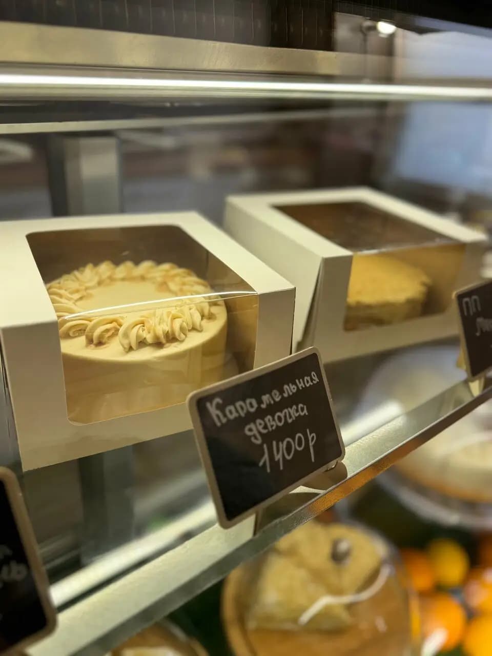 КОФЕйник репейник