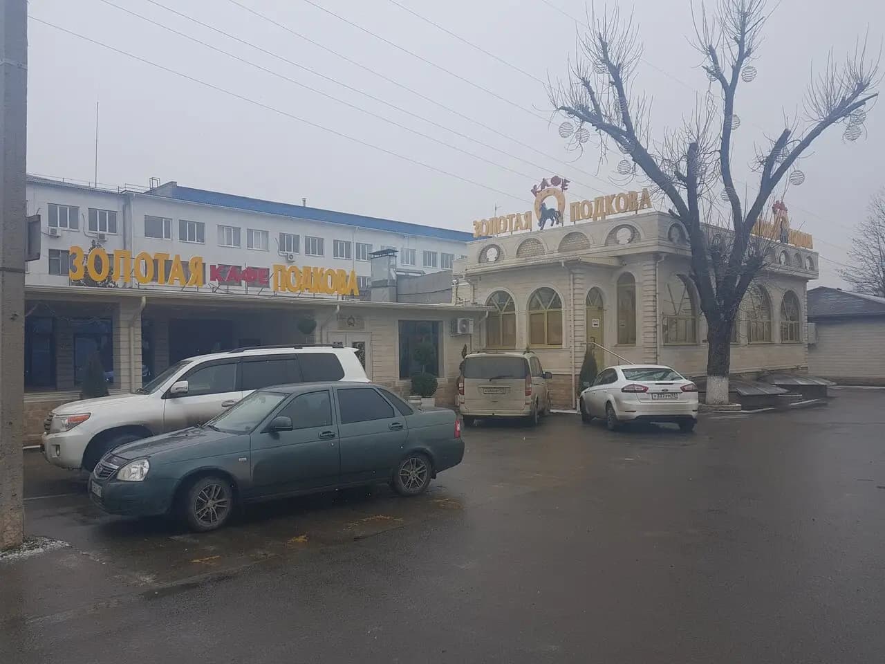 Золотая подкова