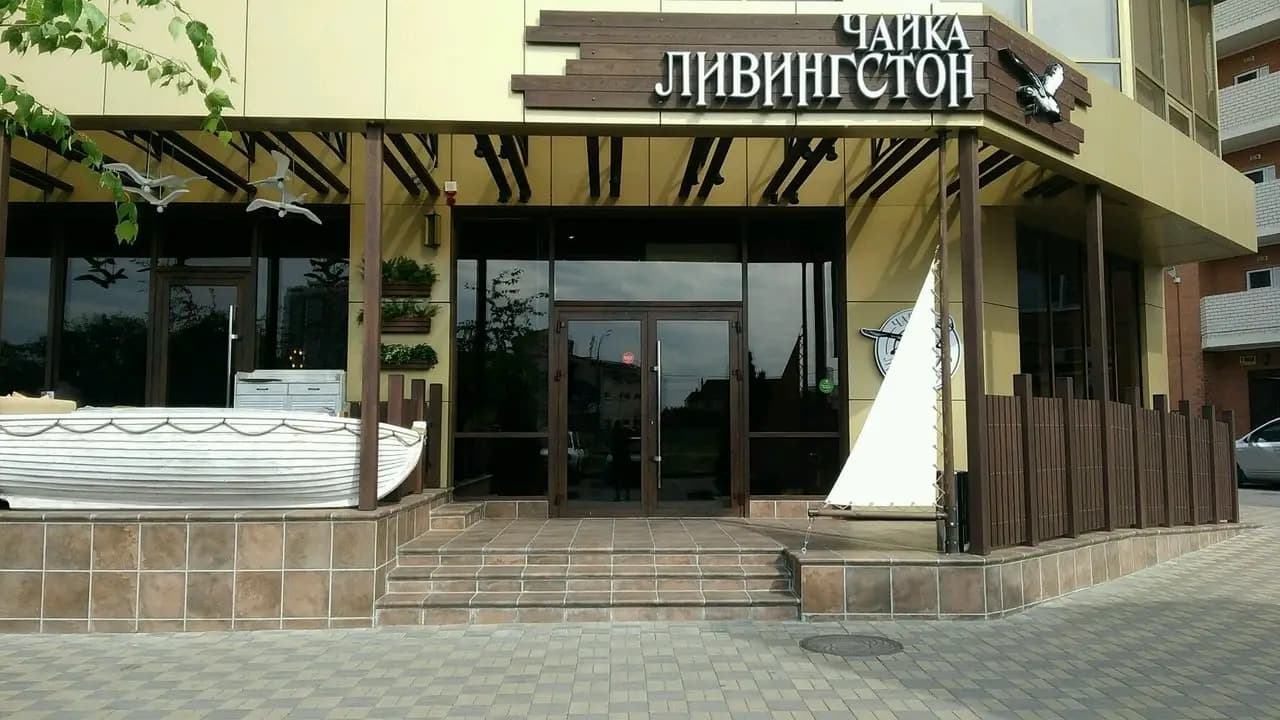 Чайка Ливингстон