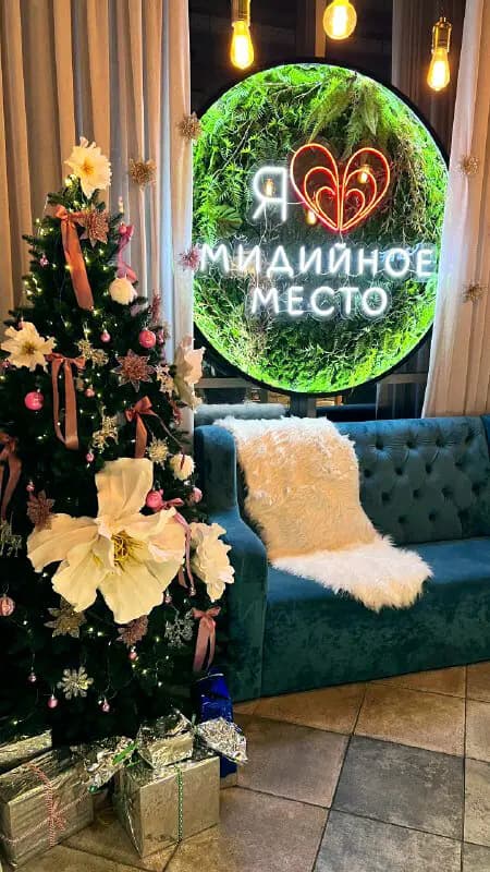 Мидийное место