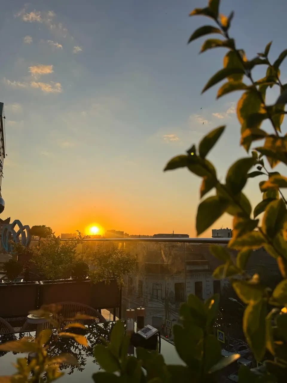 Небесный сад