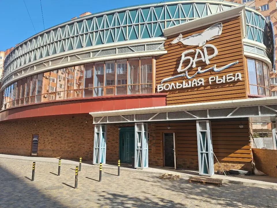 Большая рыба