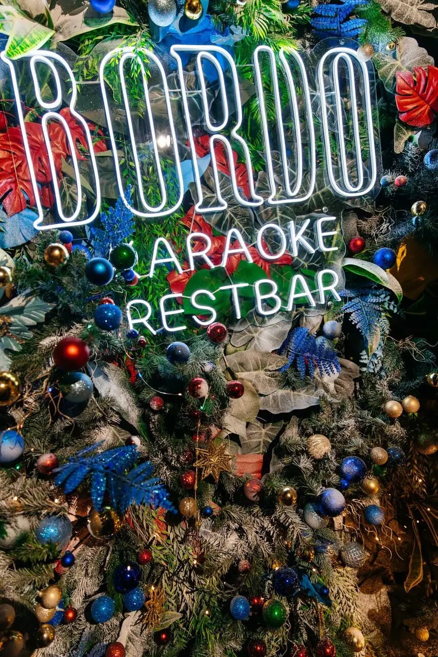 Караоке-холл Бордо