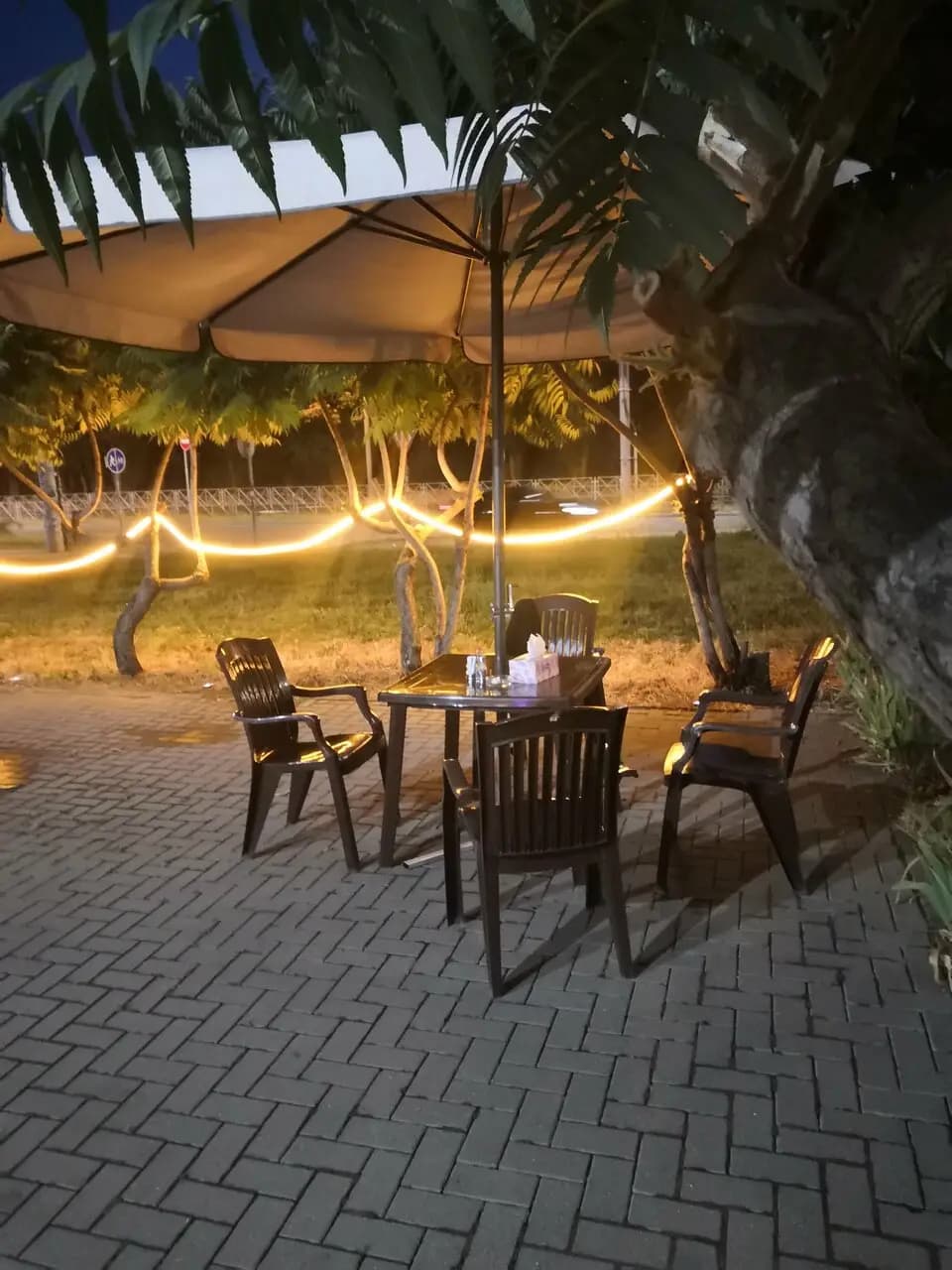 Шашлычный мир