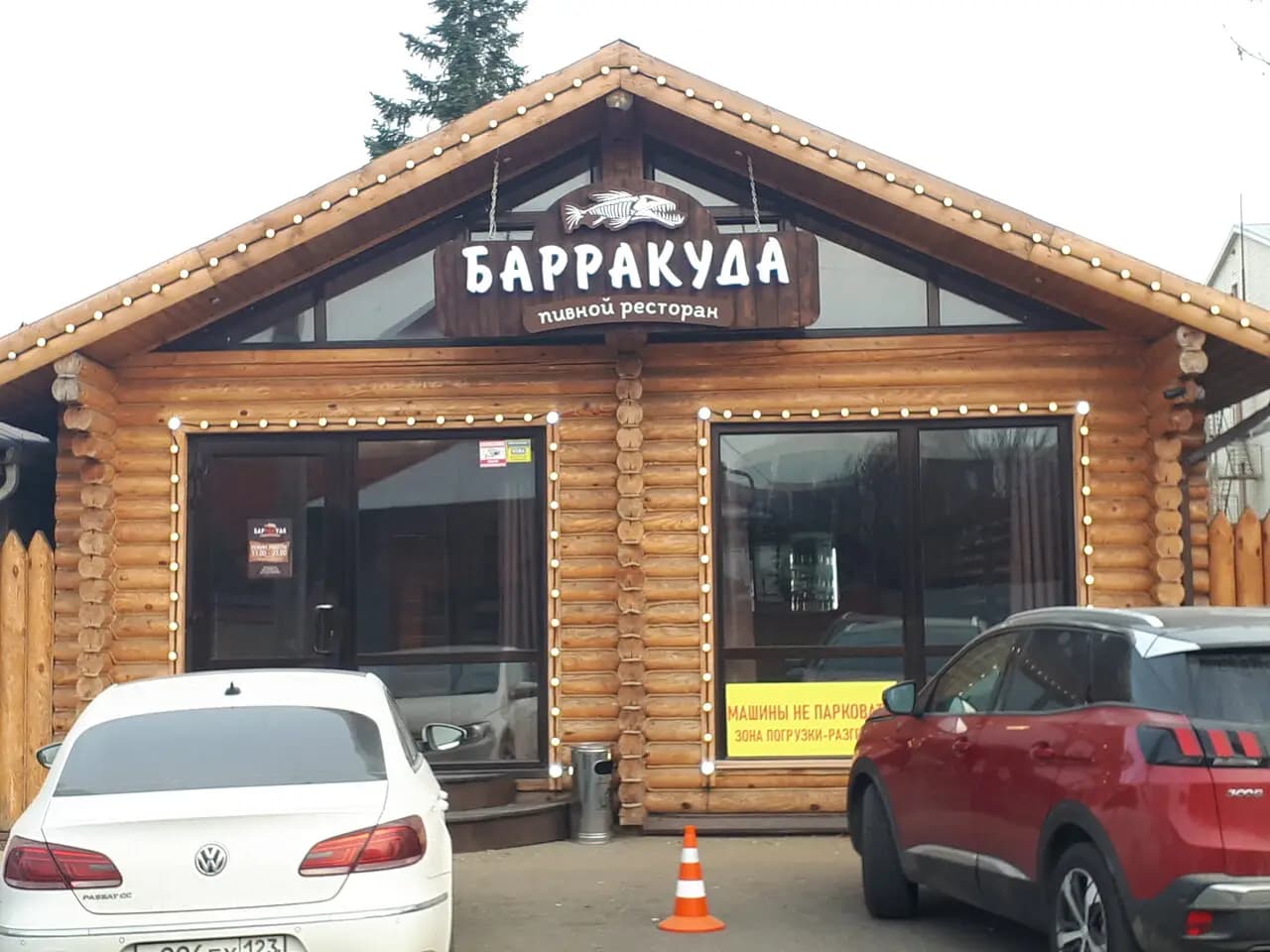 Барракуда
