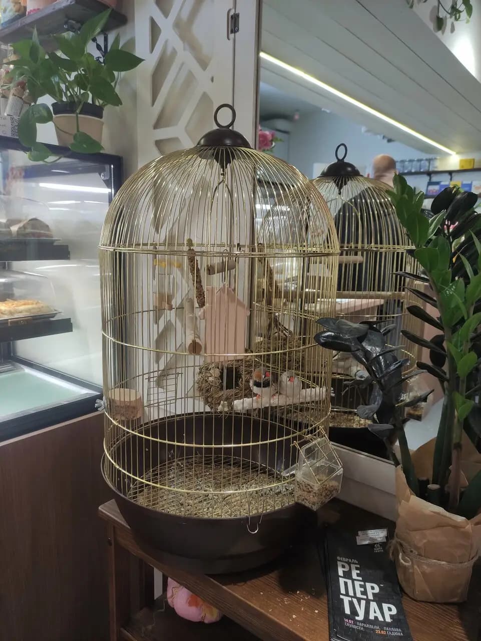 Бистро Дача