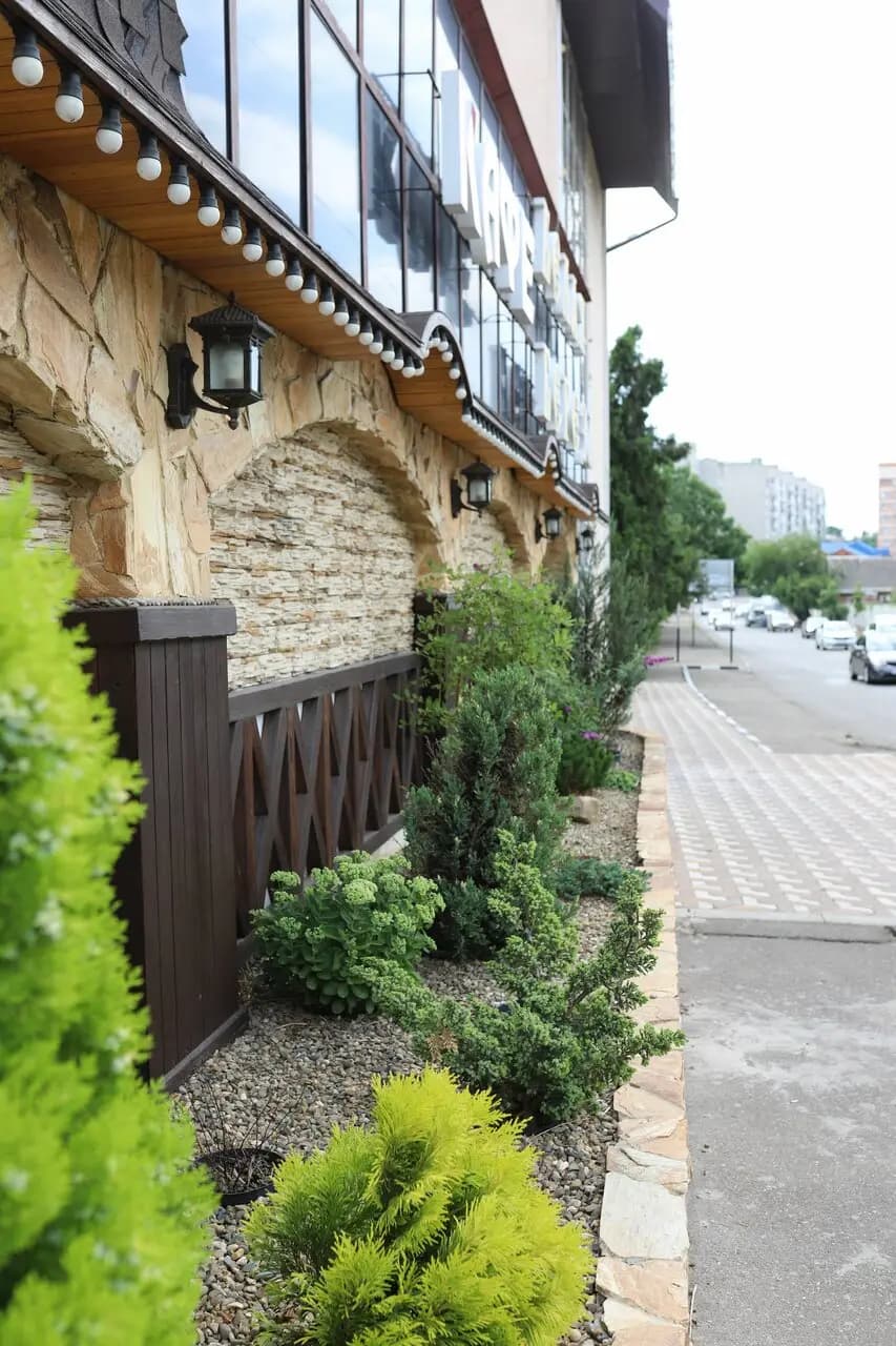 Белая берёза