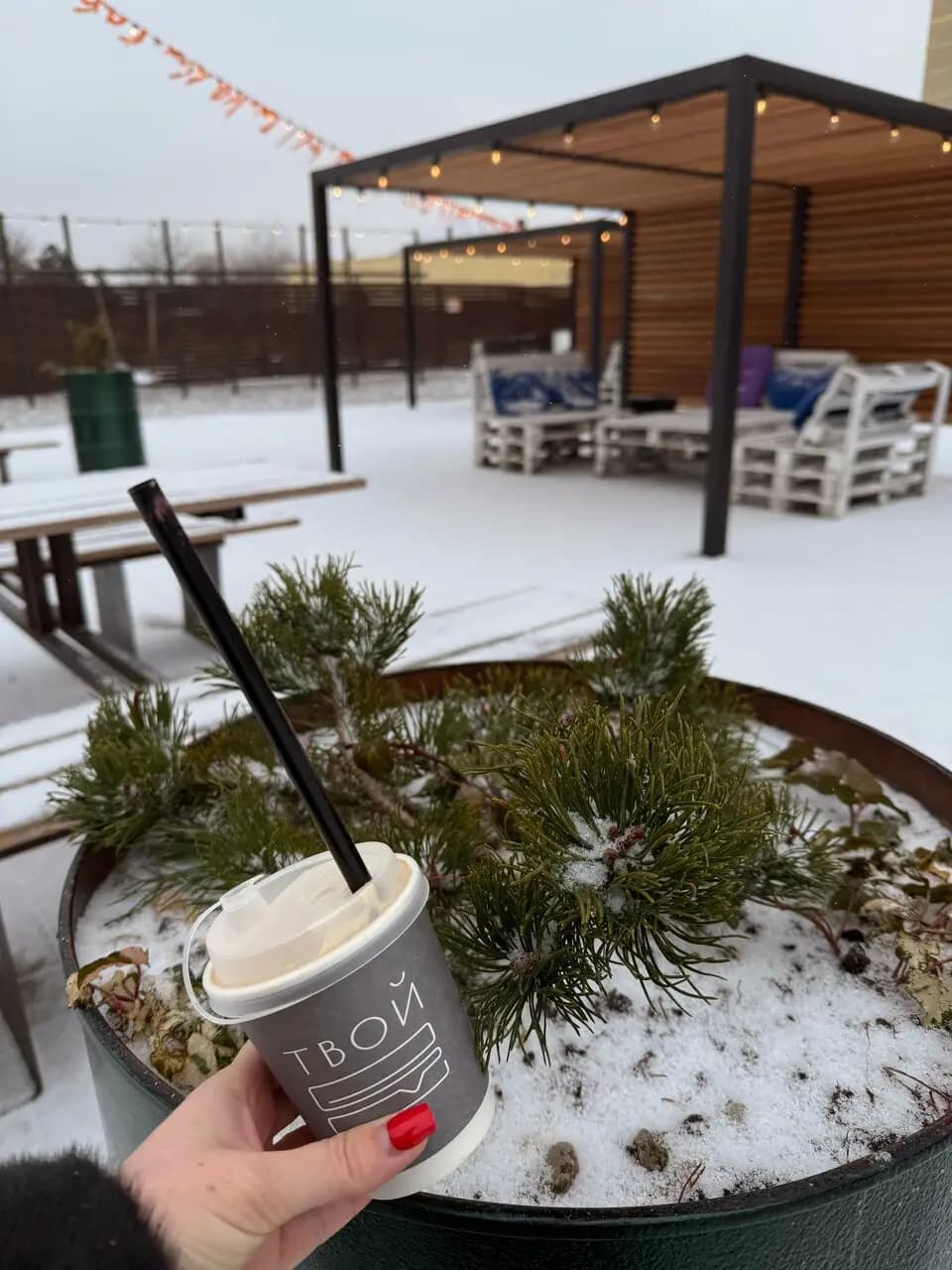 Твой Сэндвич