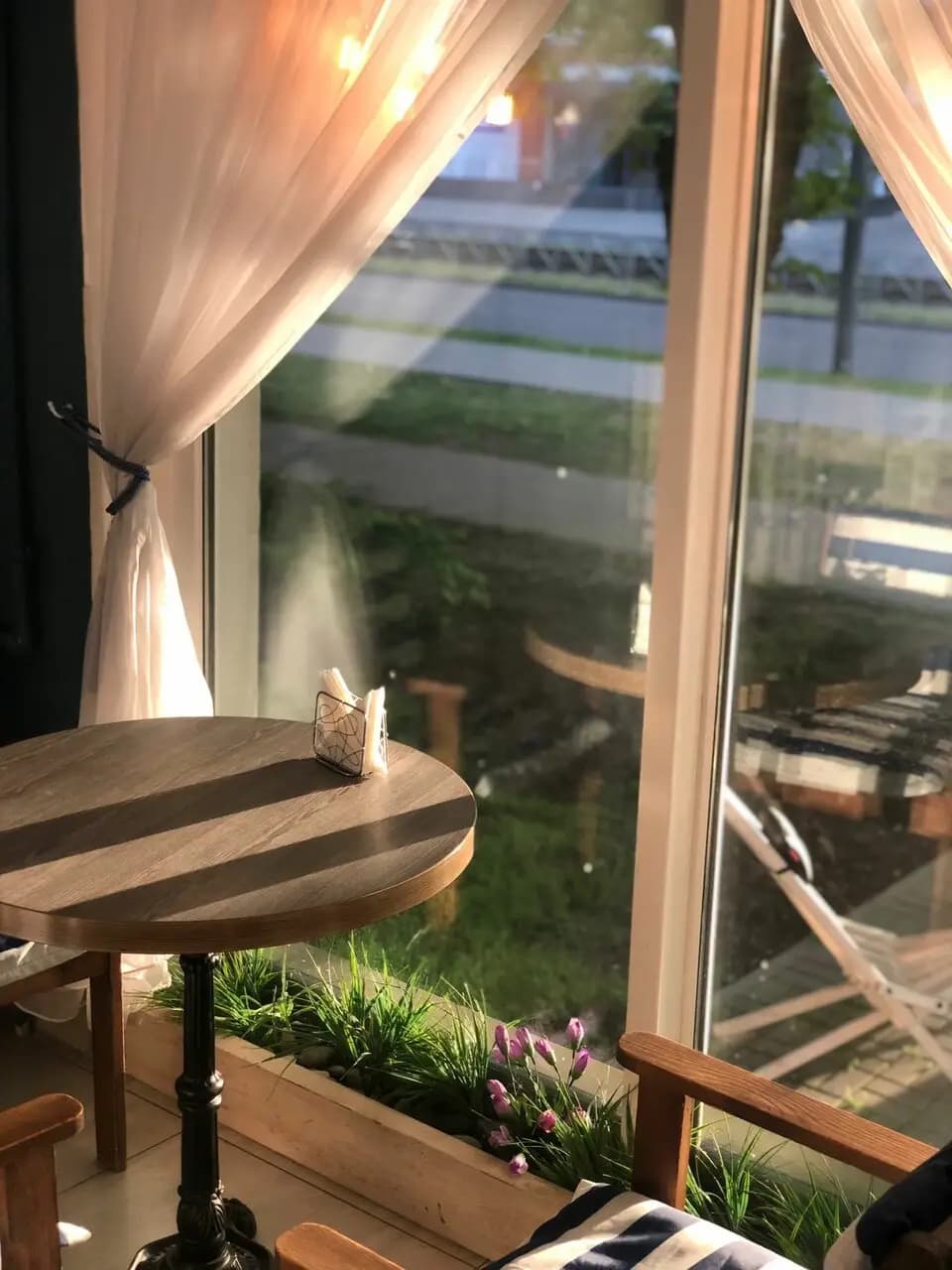 Культура кофе