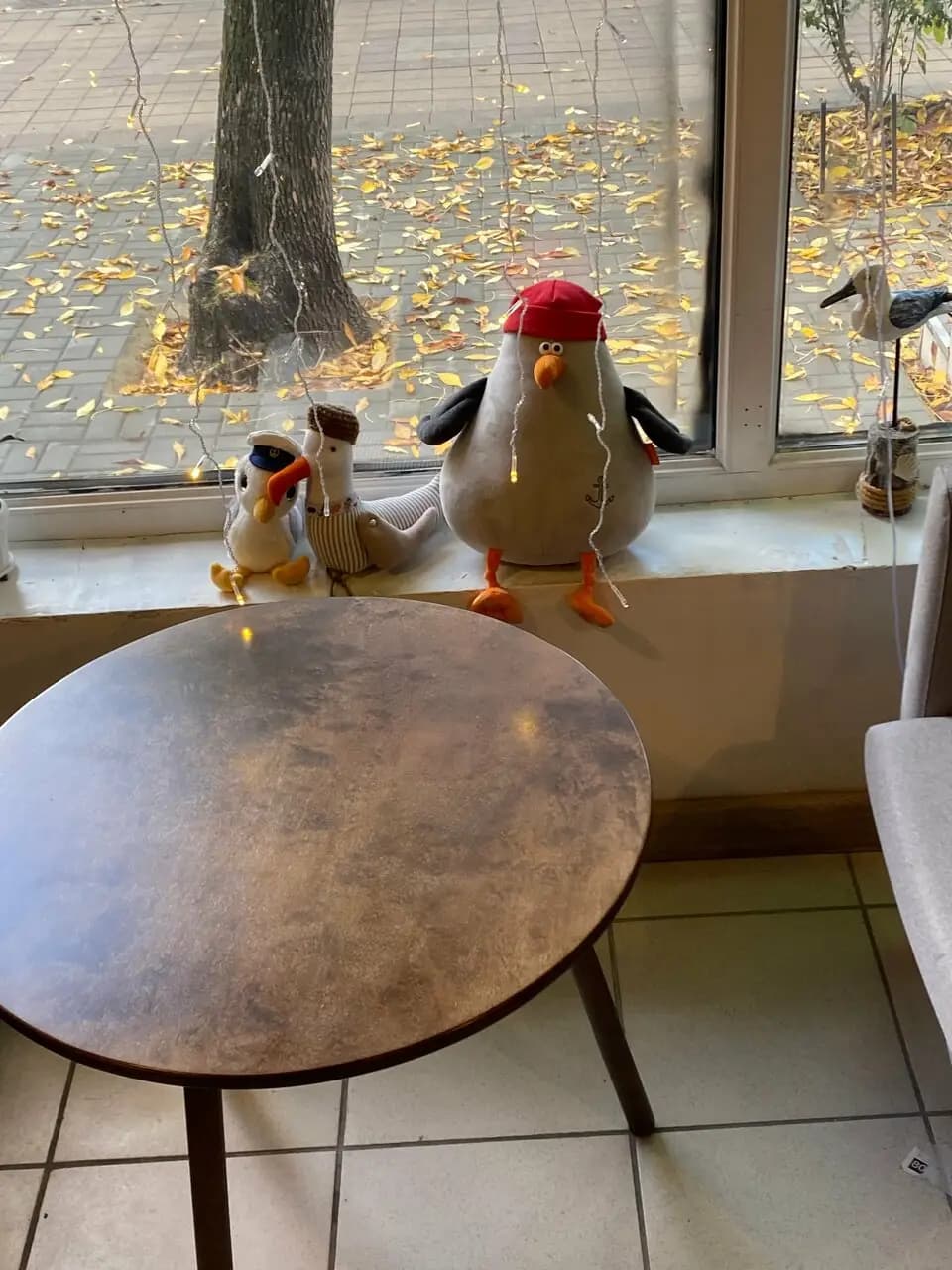 Чайка и Раф