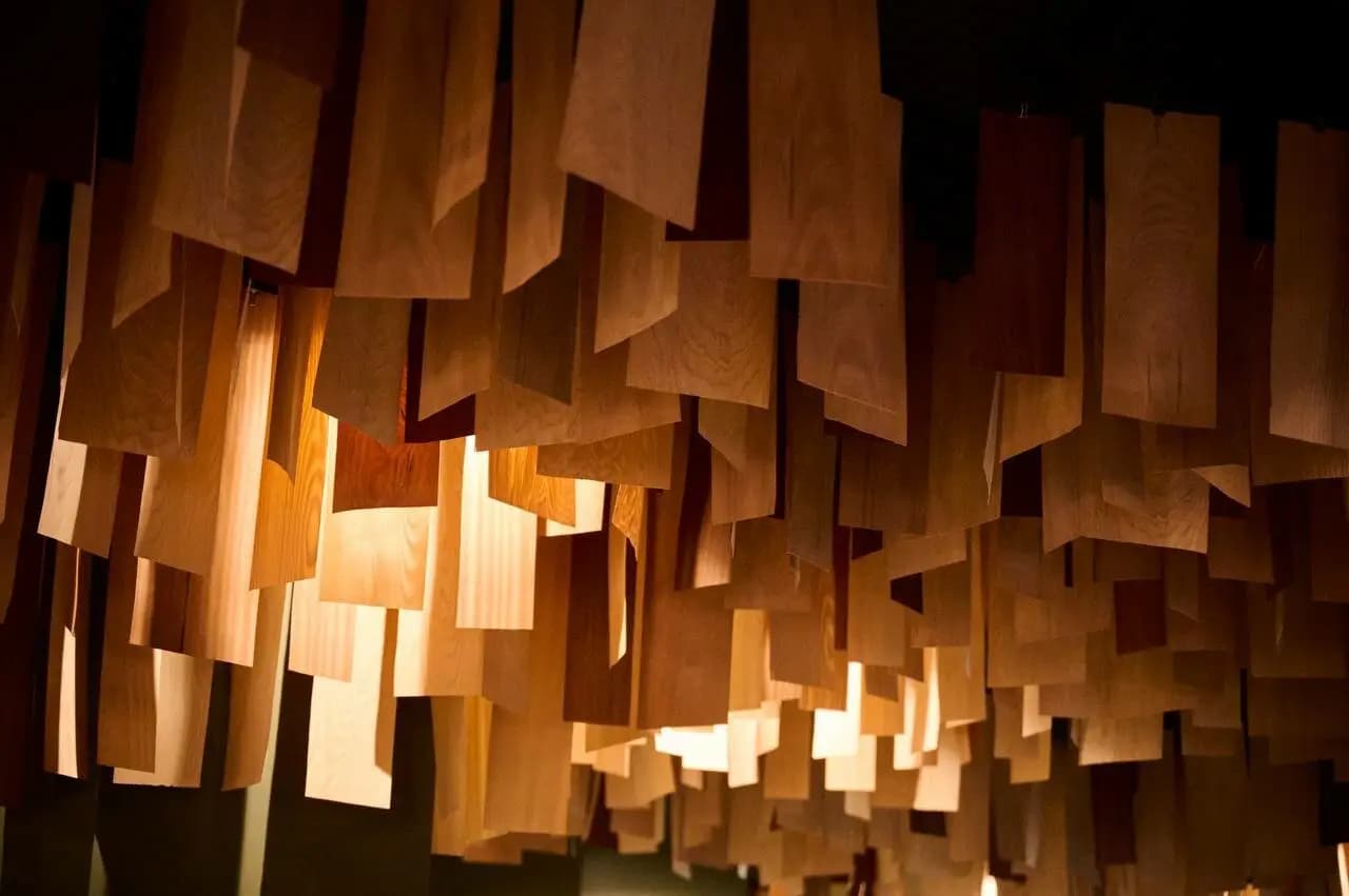 Культура спорта