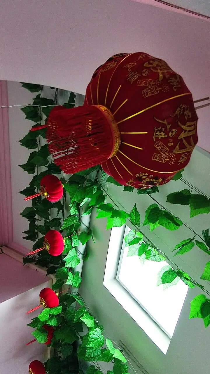 Девять драконов