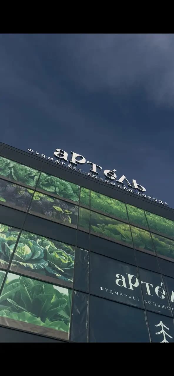 Куры Ганы от мамы Армы