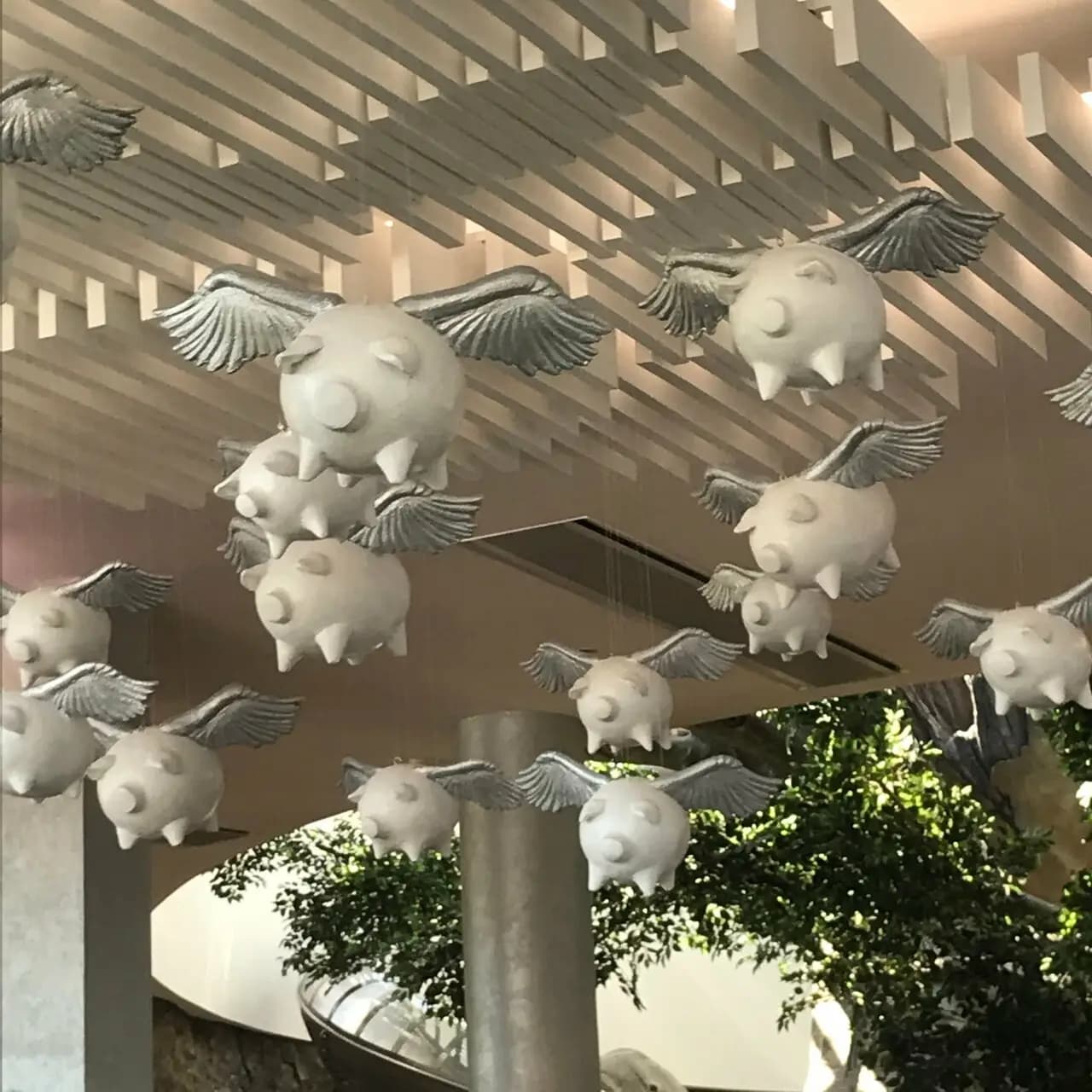 Поросячий рай